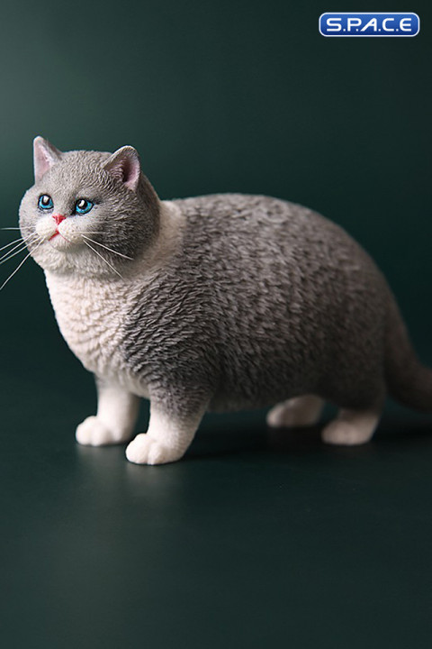 1/6 Scale Fat Cat (light grey)