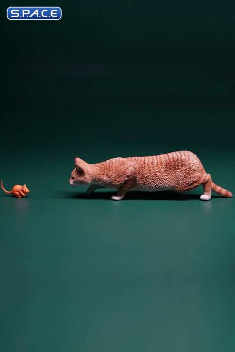 1/6 Scale hunting Cat (red)