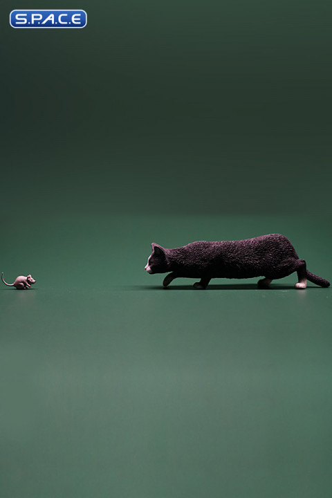 1/6 Scale hunting Cat (black)