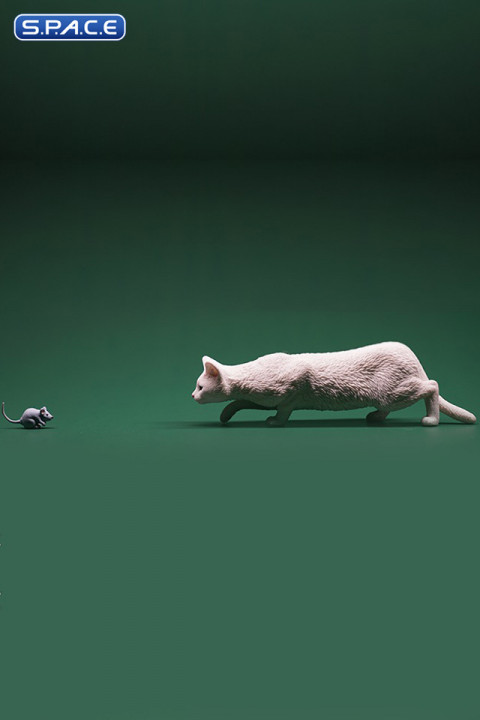 1/6 Scale hunting Cat (white)