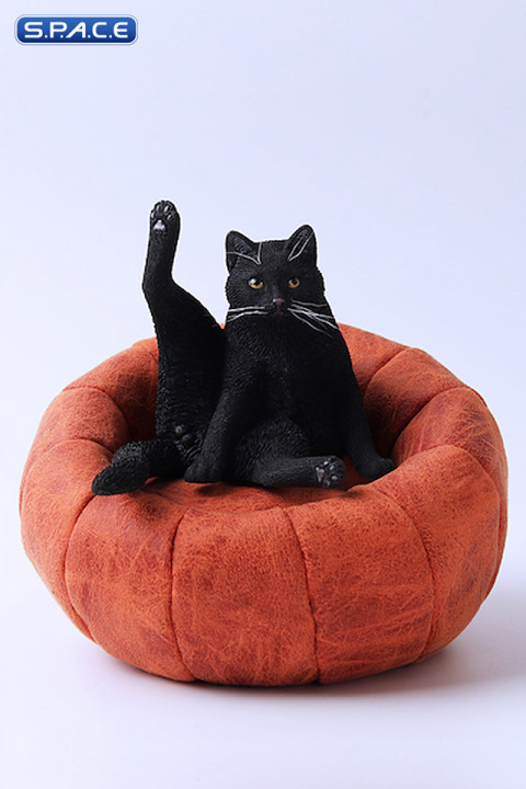 1/6 Scale lazy Cat (black)