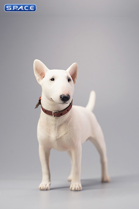 1/6 Scale Bull Terrier (white)