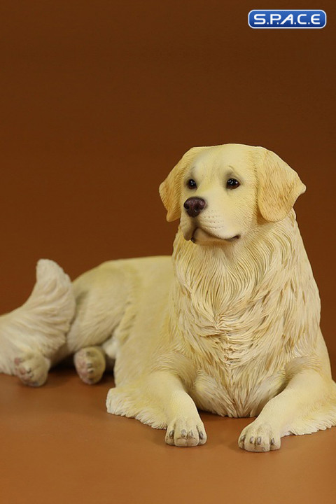 1/6 Scale lying Golden Retriever Version 2A