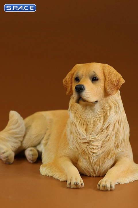 1/6 Scale lying Golden Retriever Version 3A