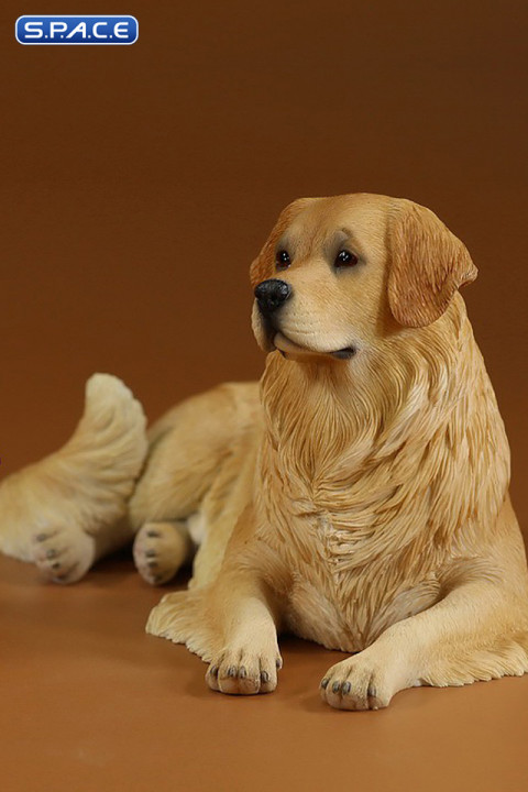 1/6 Scale lying Golden Retriever Version 4A