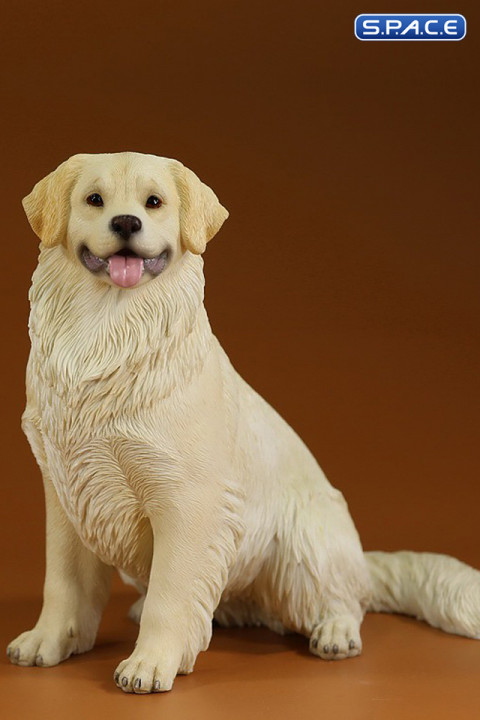 1/6 Scale sitting Golden Retriever Version 1B