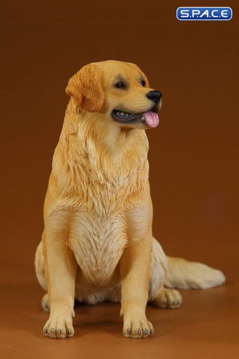 1/6 Scale sitting Golden Retriever Version 3B