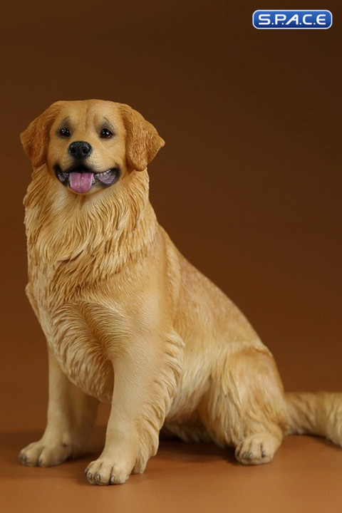 1/6 Scale sitting Golden Retriever Version 4B