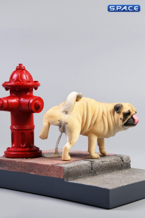 1/6 Scale brown Pug leg lift including hydrant base