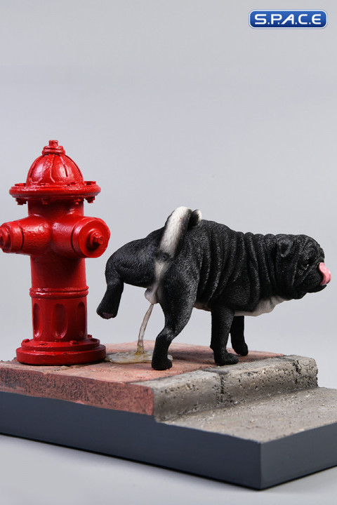 1/6 Scale black Pug leg lift including hydrant base