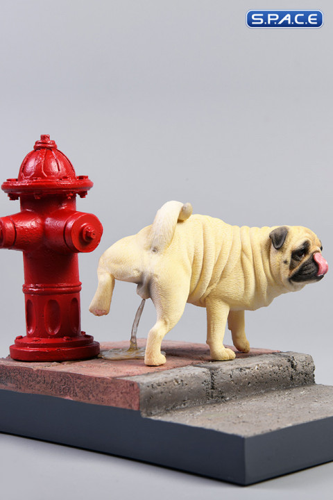 1/6 Scale white Pug leg lift including hydrant base