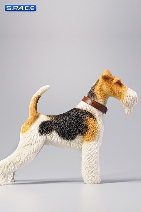 1/6 Scale Foxterrier (white/brown/black)