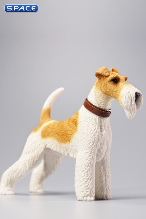 1/6 Scale Foxterrier (white/brown)