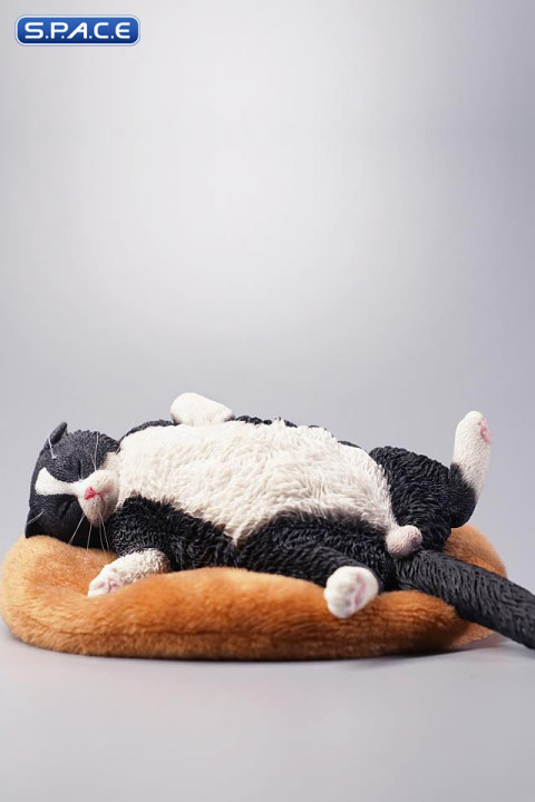 1/6 Scale lethargic Cat (black)