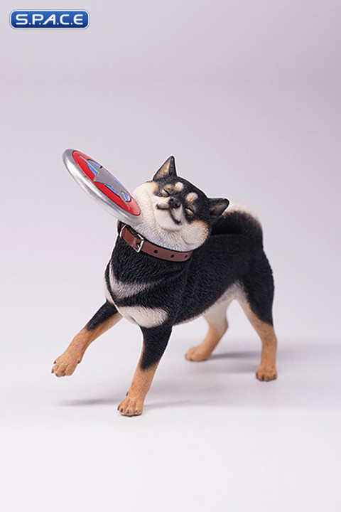 1/6 Scale Shiba Inu with frisbee (black)