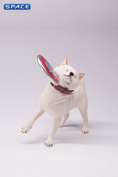 1/6 Scale Shiba Inu with frisbee (white)