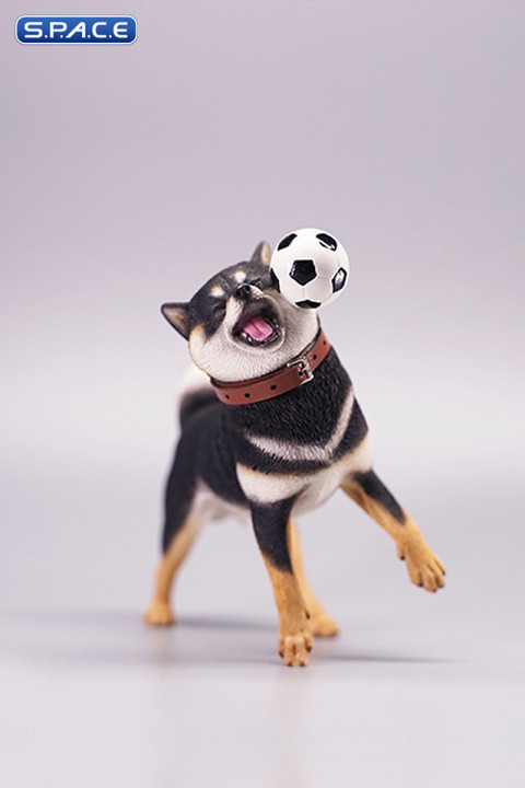 1/6 Scale Shiba Inu with football (black)