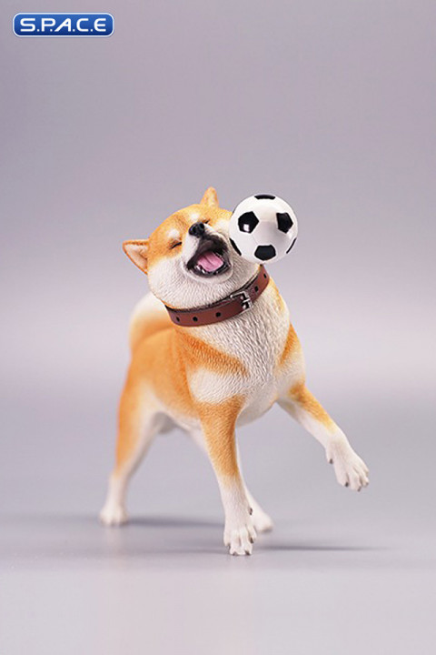 1/6 Scale Shiba Inu with football (red)