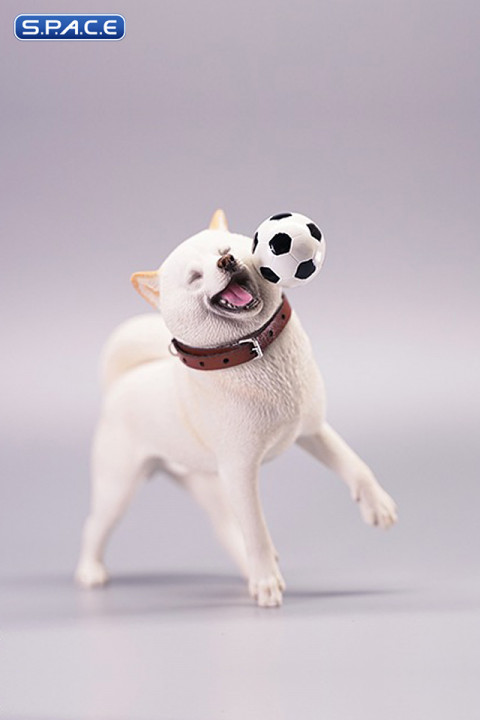 1/6 Scale Shiba Inu with football (white)