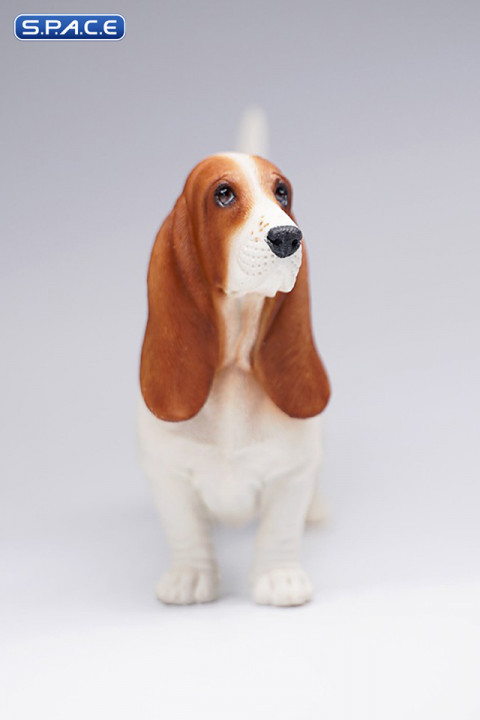 1/6 Scale Basset Hound (brown)