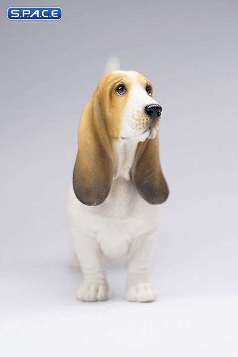 1/6 Scale Basset Hound (brown/black)