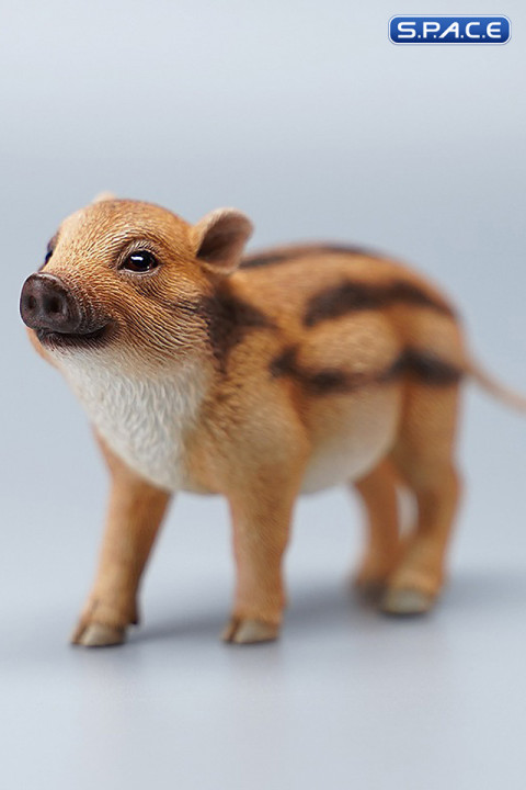 1/6 Scale Ono Pig