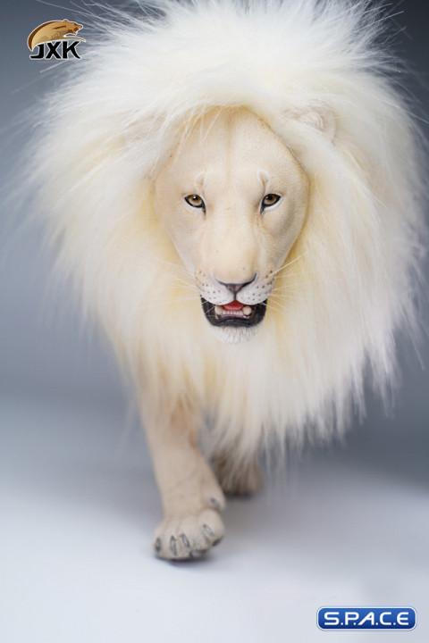 1/6 Scale Lion (white)
