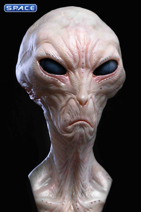 1:1 Alien Grey Life-Size Bust (The Dulce Wars)