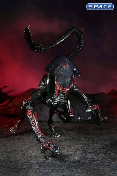 Ultimate Night Cougar Alien Kenner Tribute (Aliens)