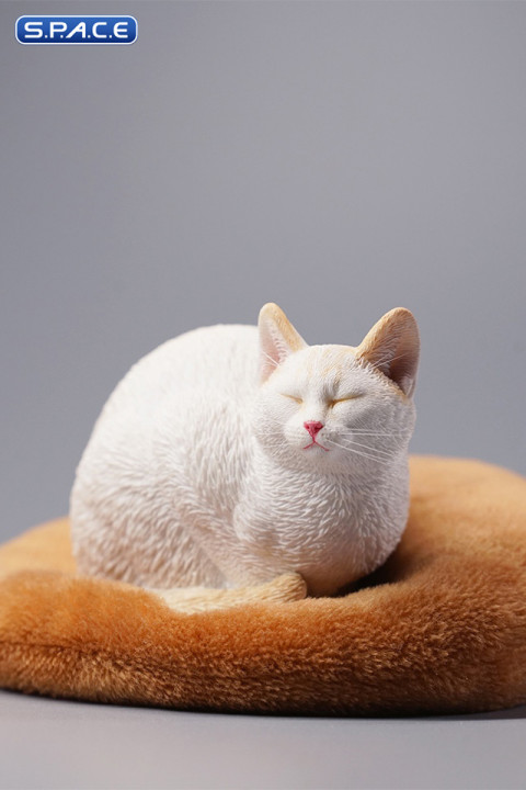 1/6 Scale lethargic Cat 2.0 (white)