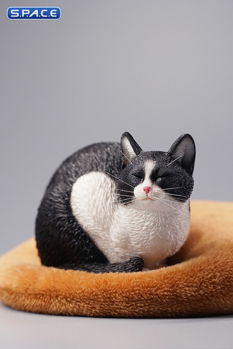 1/6 Scale lethargic Cat 2.0 (black/white)
