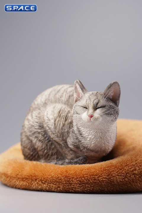 1/6 Scale lethargic Cat 2.0 (grey)