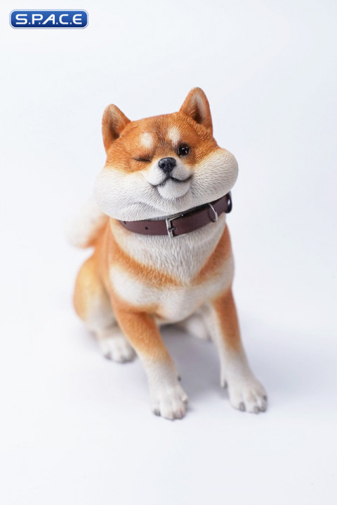 1/6 Scale sitting Shiba Inu Dont go Home (brown)