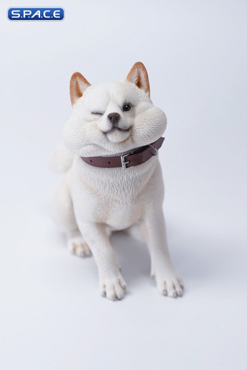 1/6 Scale sitting Shiba Inu Dont go Home (white)