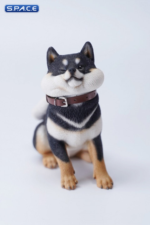 1/6 Scale sitting Shiba Inu Dont go Home (black)