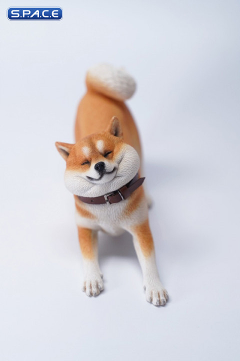 1/6 Scale Shiba Inu Dont go Home (brown)