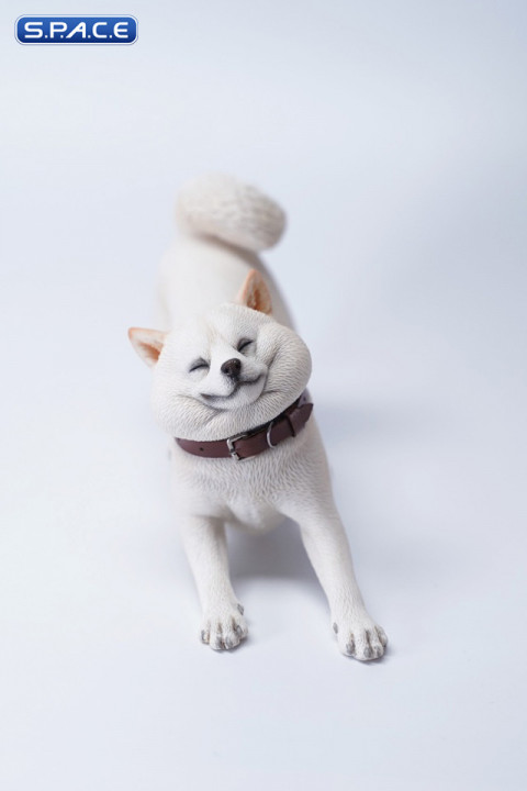 1/6 Scale Shiba Inu Dont go Home (white)