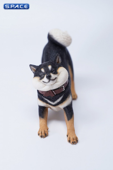 1/6 Scale Shiba Inu Dont go Home (black)