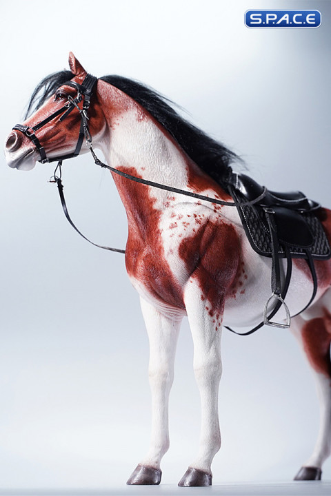 1/6 Scale American Paint Horse (red)