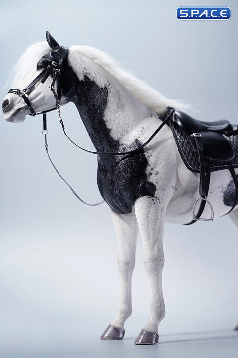 1/6 Scale American Paint Horse (black)