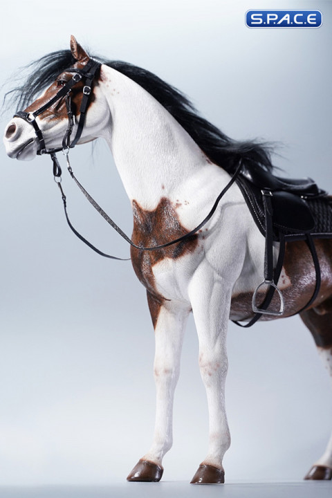 1/6 Scale American Paint Horse (brown)