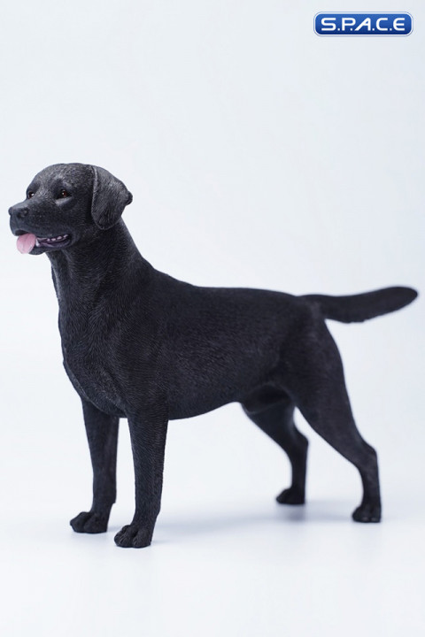 1/6 Scale Labrador Retriever (black)