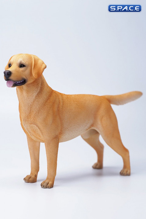 1/6 Scale Labrador Retriever (brown)