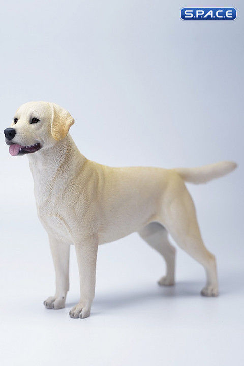 1/6 Scale Labrador Retriever (beige)