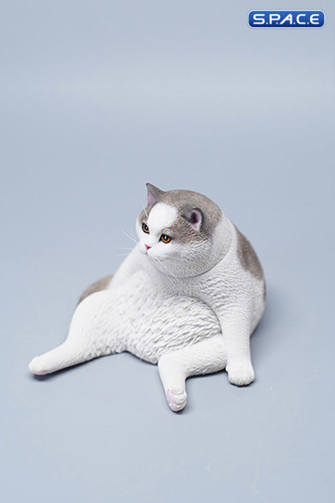 1/6 Scale sitting Cat (grey)