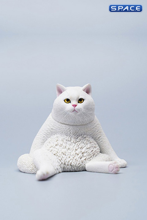 1/6 Scale sitting Cat (white)