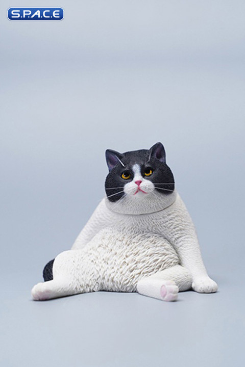 1/6 Scale sitting Cat (black)