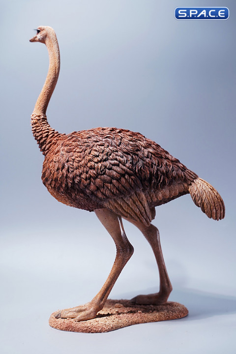 1/6 Scale Ostrich (brown)