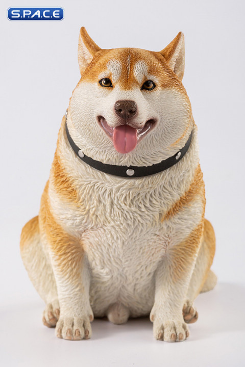 1/6 Scale fat Husky (brown)