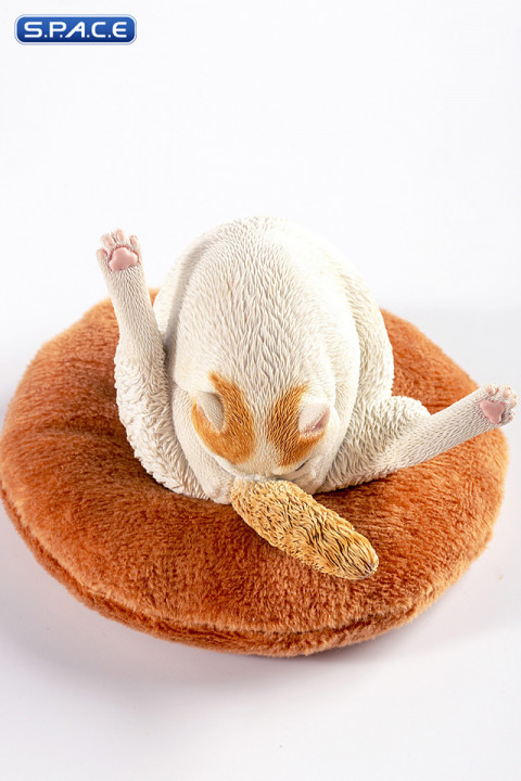 1/6 Scale Chicken Leg Cat (white)